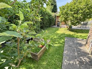 Veggie Garden- click for photo gallery
